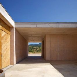 PROJECTILES-CAVE-VIGNES-OUBLIEES-139-©VINCEN- FILLON