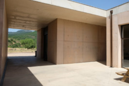 PROJECTILES-CAVE-VIGNES-OUBLIEES-CHANTIER4