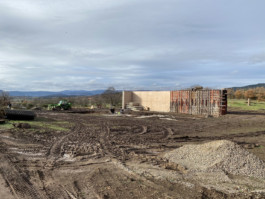 PROJECTILES-CAVE-VIGNES-OUBLIEES-CHANTIER6
