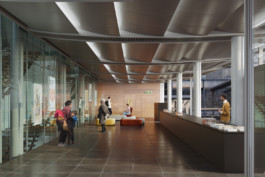 Projet Musée de la carte à jouer - Perspectives - Accueil - Projectiles 